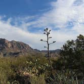 Review photo of Rio Grande Village RV Campground — Big Bend National Park by Tori M., June 15, 2018