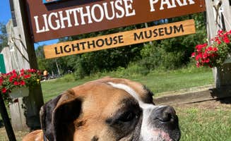 Lisa D.'s photo of camping with pets at Lighthouse Village RV Resort near Angola, IN