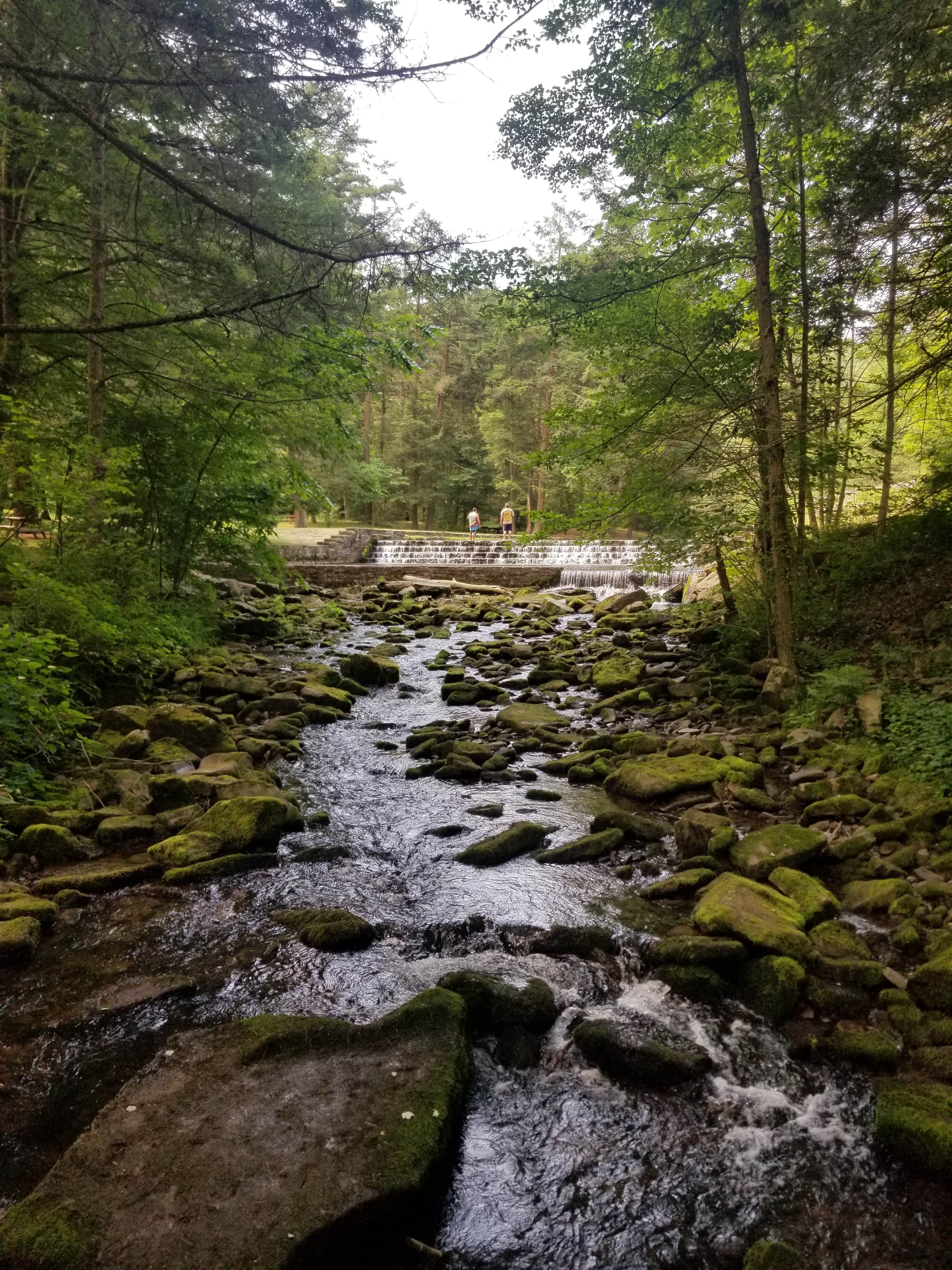 Camper submitted image from Ravensburg State Park Campground - 1