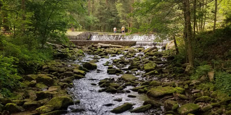 Camper submitted image from Ravensburg State Park Campground
