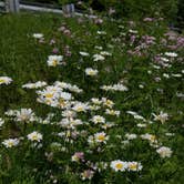 Review photo of Ravensburg State Park Campground by laura , July 21, 2021