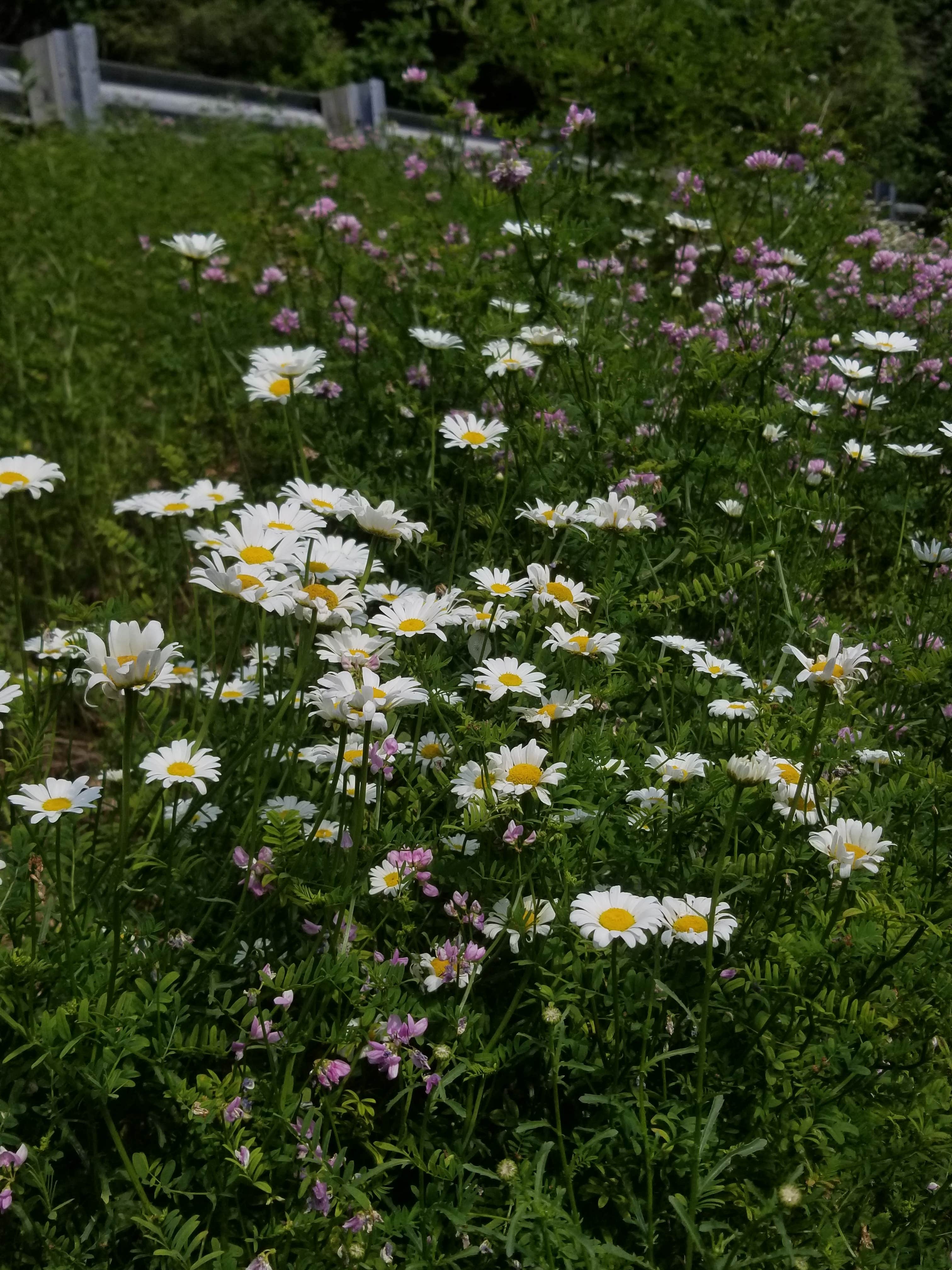 Camper submitted image from Ravensburg State Park Campground - 5