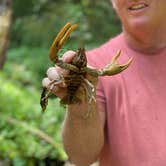 Review photo of Turkey Foot Campground by Kenny P., July 21, 2021