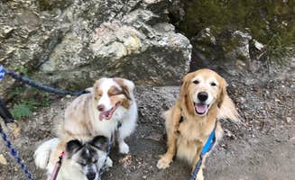 Jenn's photo of camping with pets at North Fork County Park in Utah