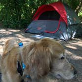 Review photo of North Fork County Park by Jenn , July 21, 2021