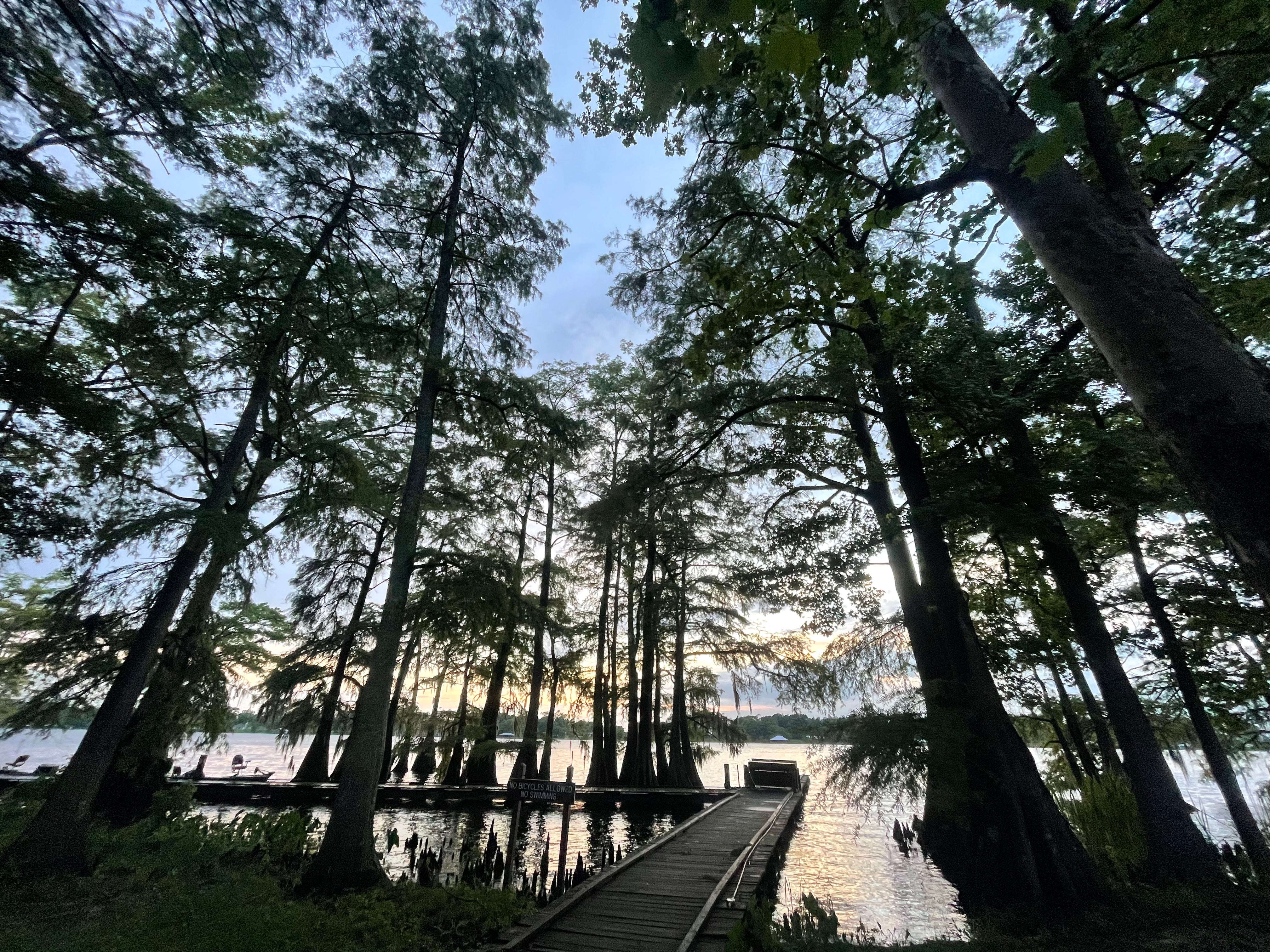 Camper submitted image from Lake Bruin State Park Campground - 4