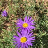 Review photo of Honey Flat Camping Area — Caprock Canyons State Park by Tori M., June 15, 2018