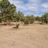 Review photo of Lovell Canyon Dispersed Camping (Spring Mountain) by T K., July 5, 2021