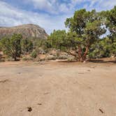 Review photo of Lovell Canyon Dispersed Camping (Spring Mountain) by T K., July 5, 2021