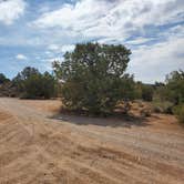 Review photo of Lovell Canyon Dispersed Camping (Spring Mountain) by T K., July 5, 2021