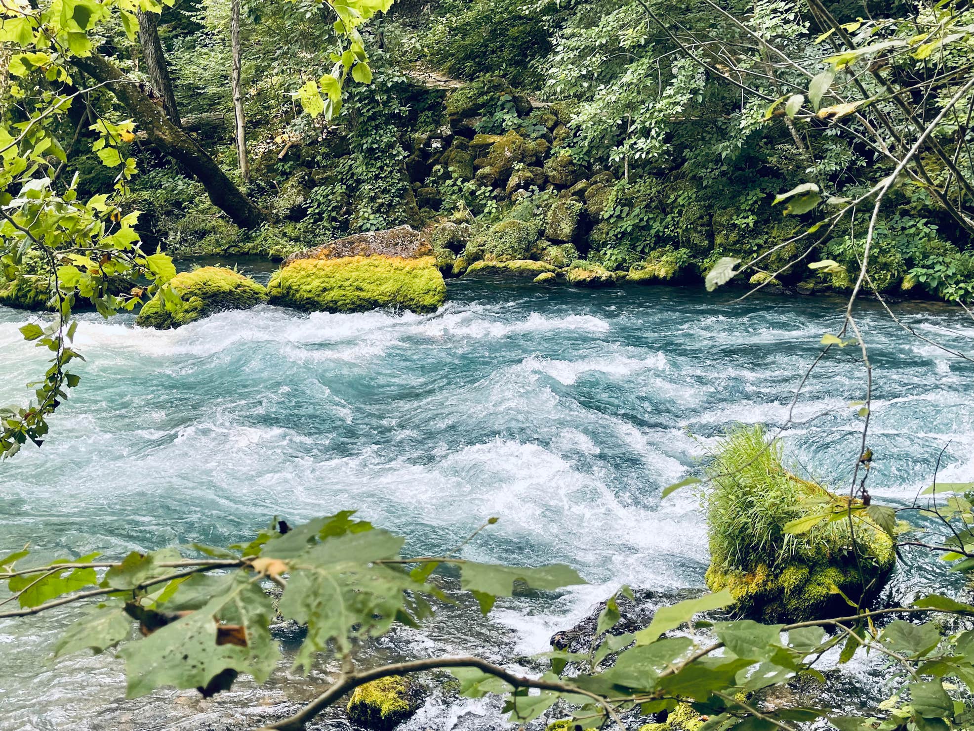 Ozark National Scenic Riverways Big Spring | The Dyrt