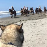Review photo of Sou'wester Historic Lodge & Vintage Travel Trailer Resort by Kathy B., July 21, 2021