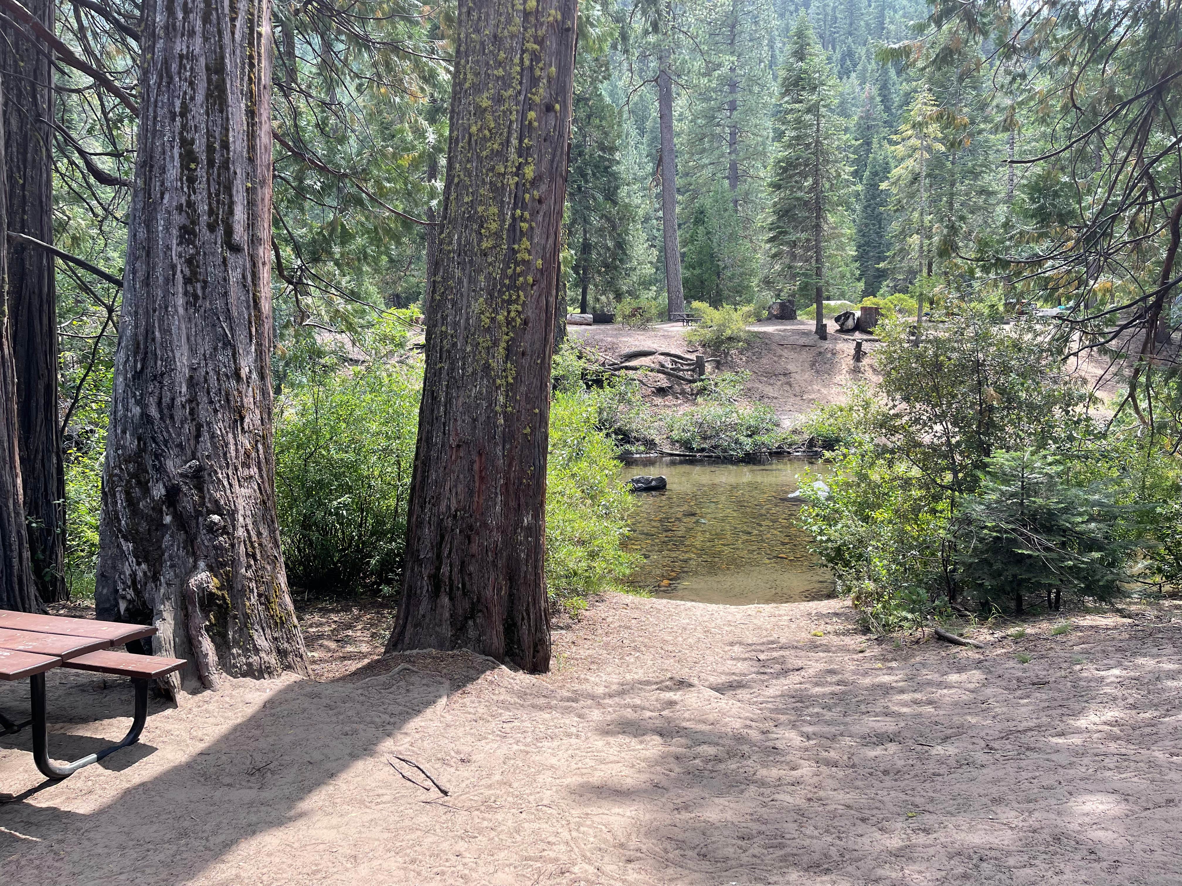 Escape To The Emerald Embrace: Your Guide To China Flat Campground