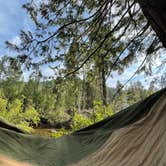 Review photo of China Flat Campground by Adam H., July 21, 2021