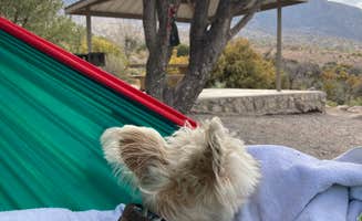 Kathleen's photo of camping with pets at Aguirre Springs in New Mexico
