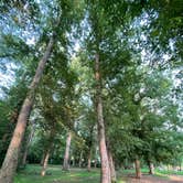 Review photo of Swains Lock Hiker-biker Overnight Campsite — Chesapeake and Ohio Canal National Historical Park by Mark M., July 21, 2021