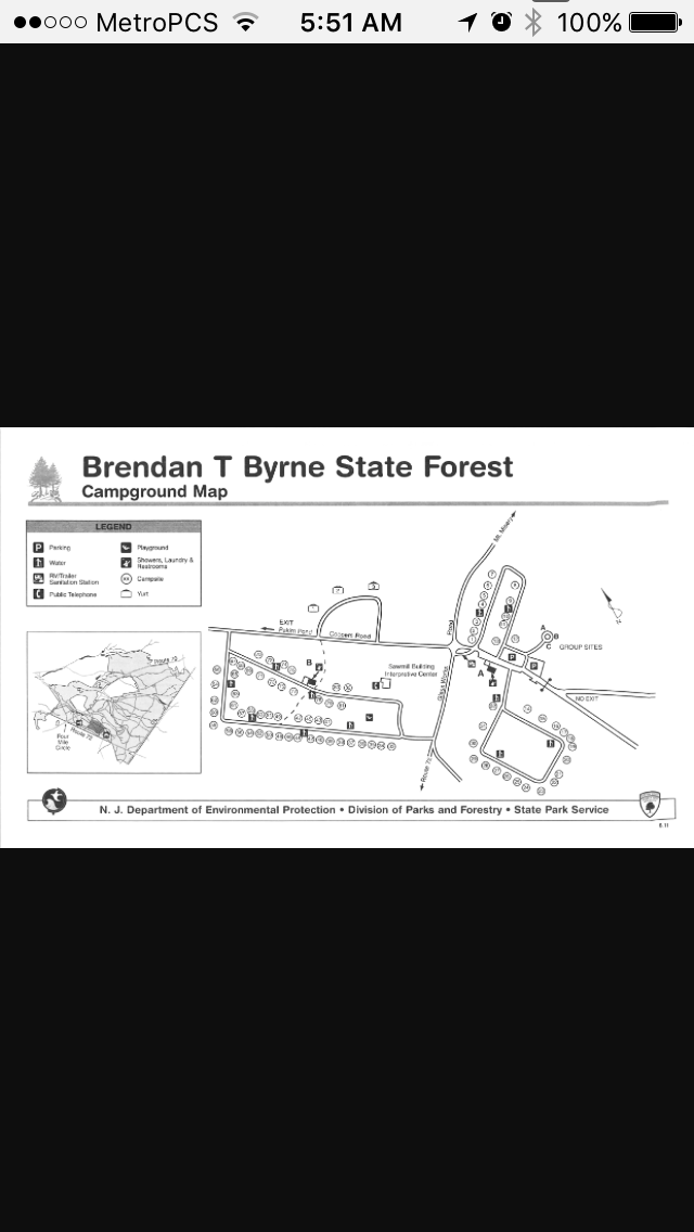 Camper submitted image from Brendan Byrne State Forest - 5