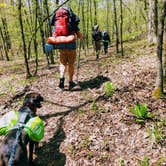 Review photo of Cossatot Falls Campsites — Cossatot River State Park - Natural Area by Nicki M., June 15, 2018