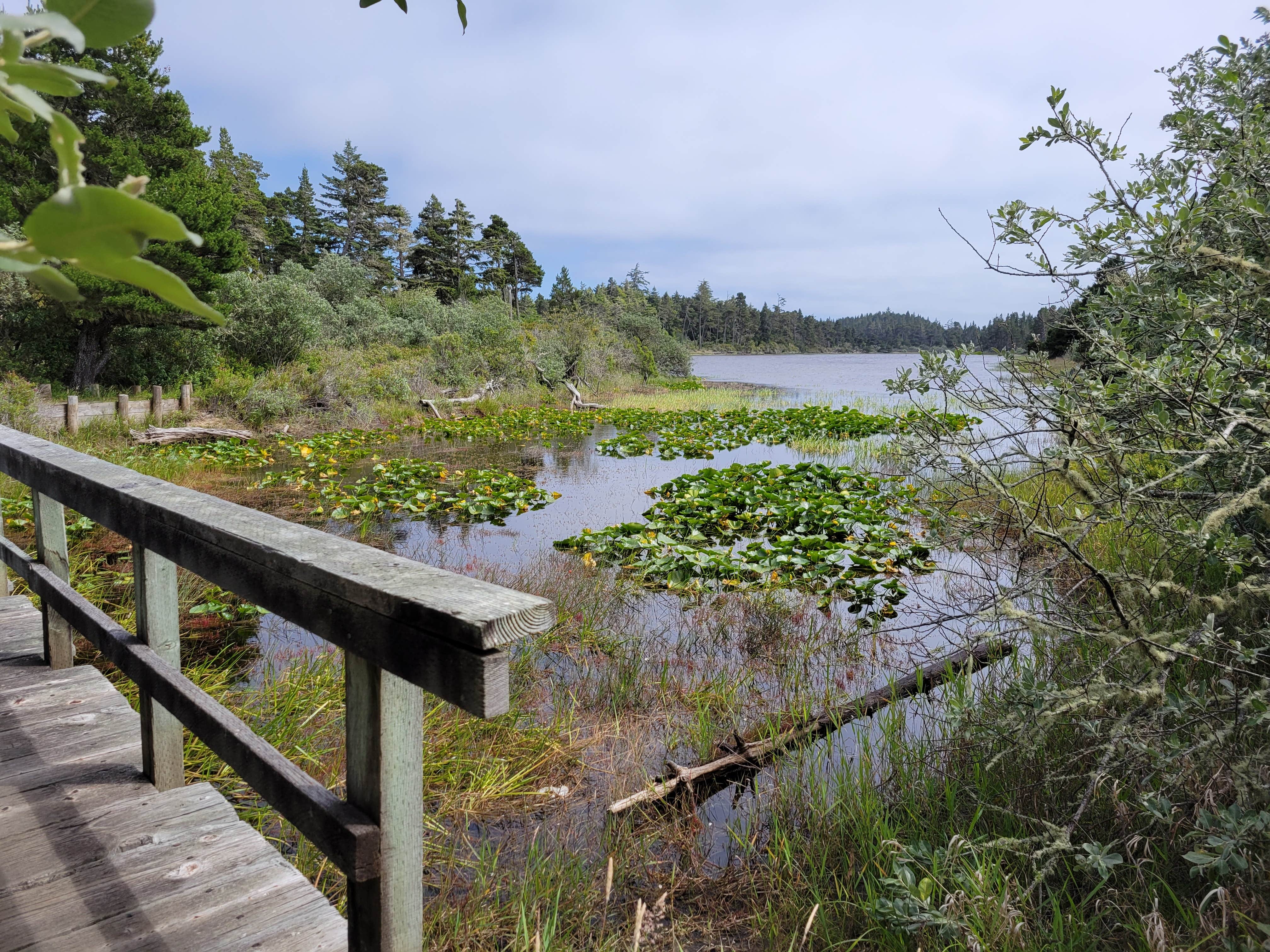 Camper-submitted photo at Bluebill Campground near Coos Bay, OR