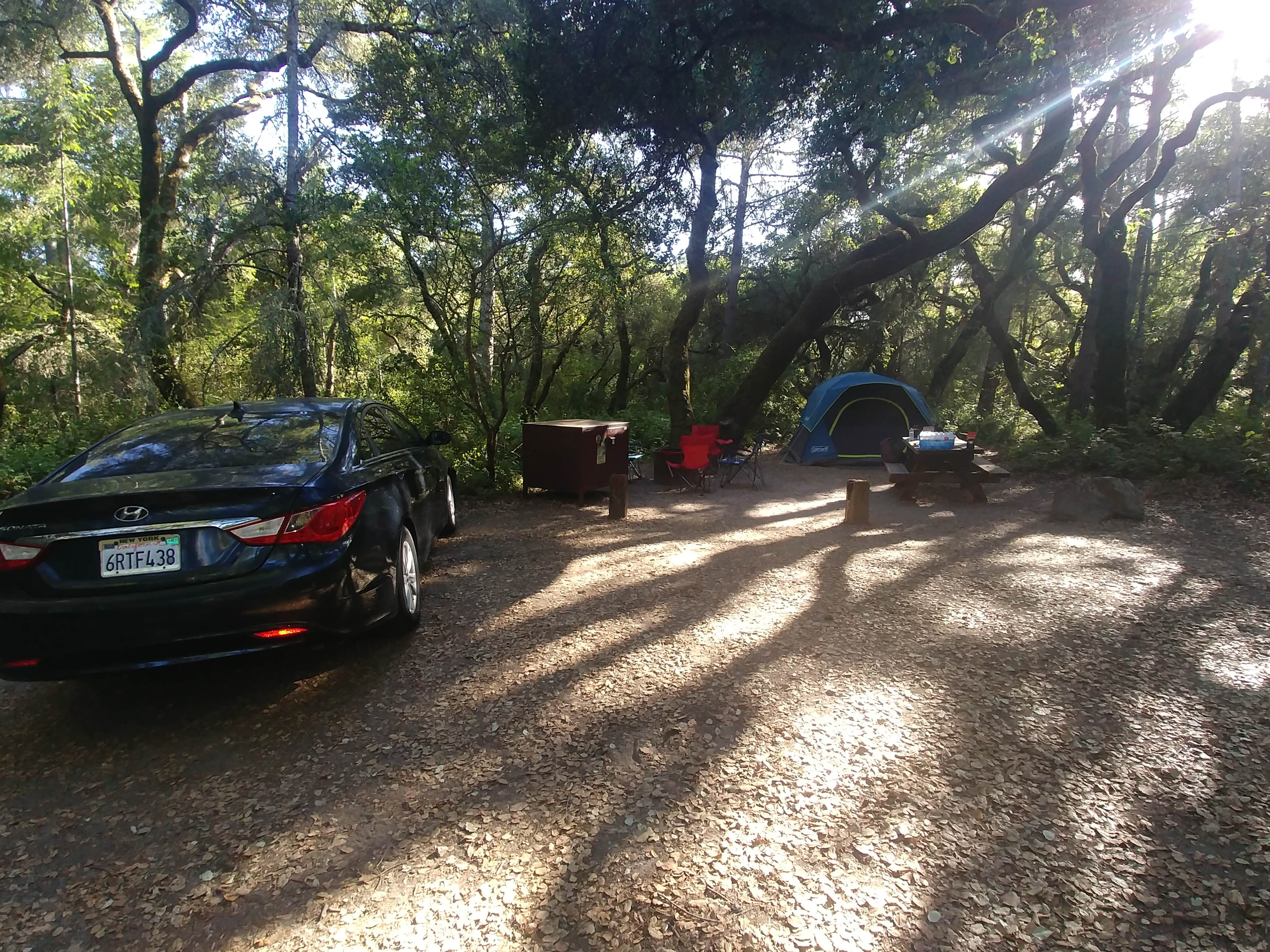 Christine M.'s photo at Henry Cowell Redwoods State Park Campground near Soquel, CA