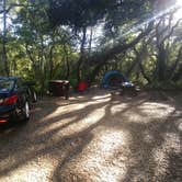 Review photo of Henry Cowell Redwoods State Park Campground by Christine M., July 22, 2021