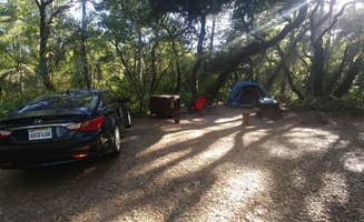 Christine M.'s photo at Henry Cowell Redwoods State Park Campground near Felton, CA