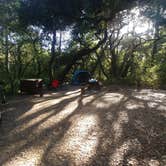 Review photo of Henry Cowell Redwoods State Park Campground by Christine M., July 22, 2021