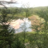Review photo of Blackwater Falls State Park Campground by Grant M., July 22, 2021