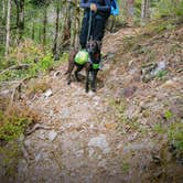 Review photo of Cossatot Falls Campsites — Cossatot River State Park - Natural Area by Nicki M., June 15, 2018