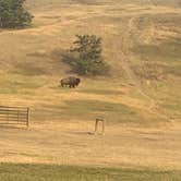 Review photo of Sage Creek Campground by Joy M., July 22, 2021