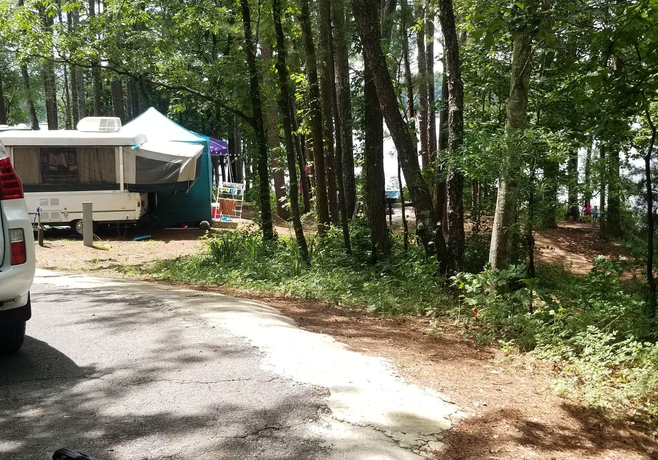Robyn  T.'s photo of rv camping at Piney Grove Campground near Tishomingo, MS