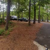 Review photo of Piney Grove Campground by Robyn  T., July 22, 2021