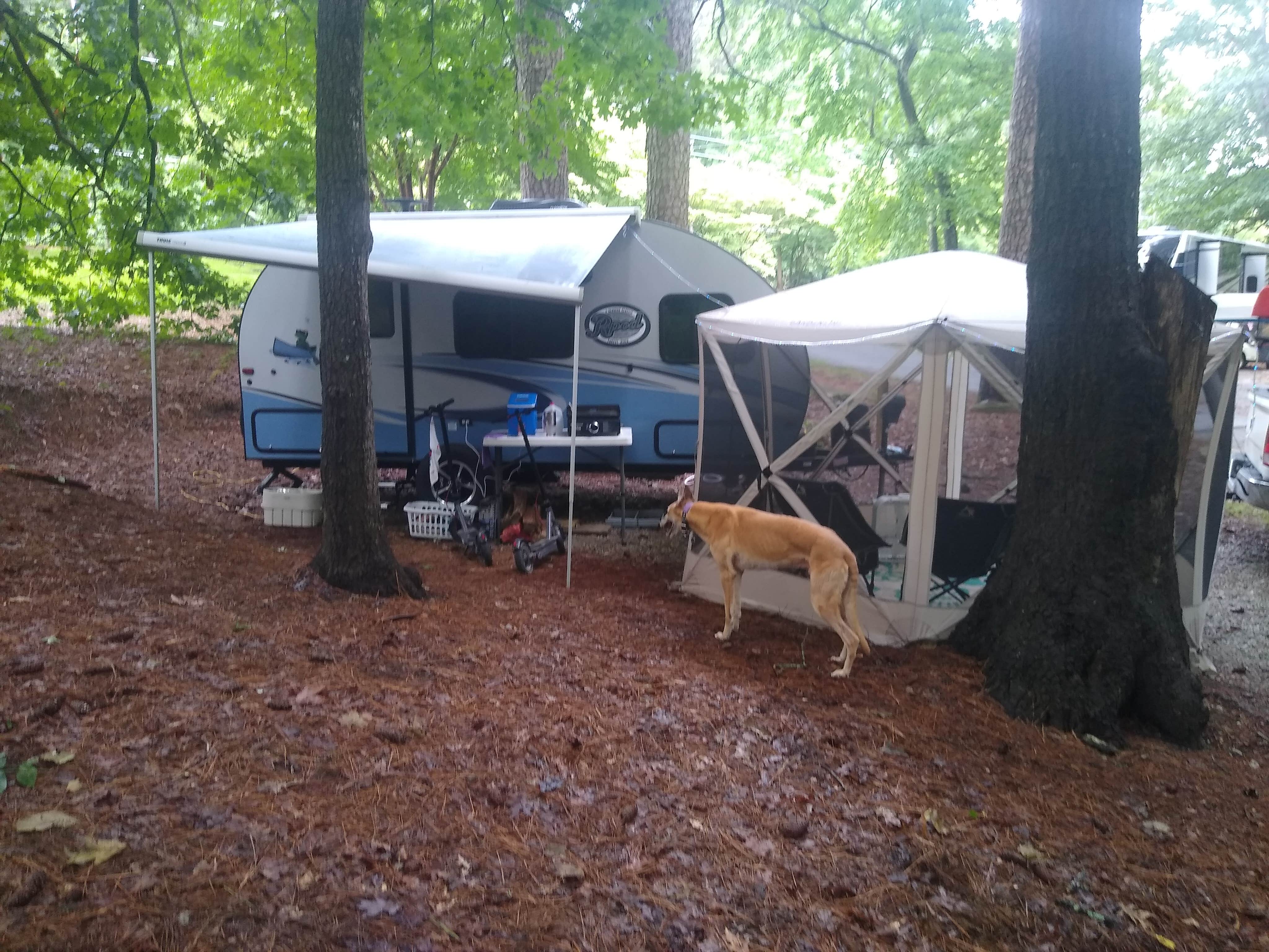 Rachel G.'s photo of camping with pets at Stone Mountain Park Campground near Decatur, GA
