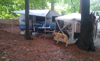 Rachel G.'s photo of camping with pets at Stone Mountain Park Campground near Duluth, GA