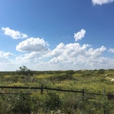 Review photo of Monahans Sandhills State Park Campground by Tori M., June 15, 2018