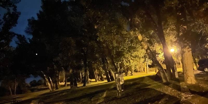 Camper submitted image from Rangely Camper Park