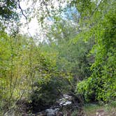 Review photo of Pine Creek Campground by Alisen O., July 22, 2021