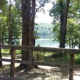 The lake from a campsite