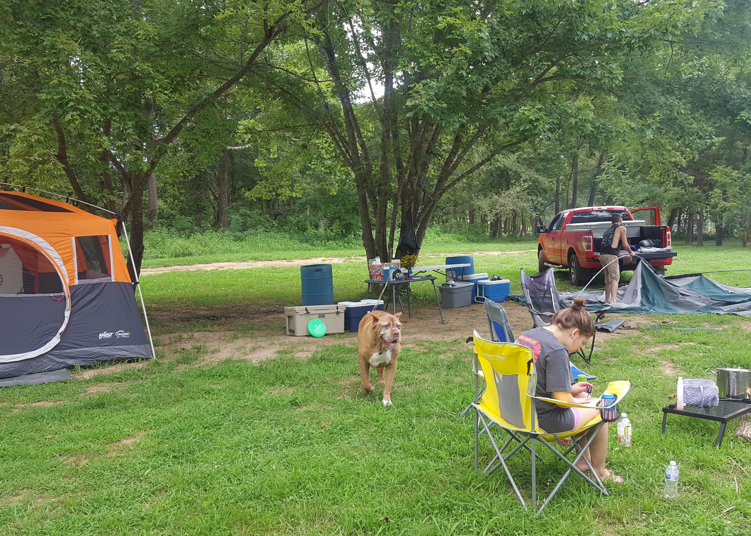 Hootentown Canoe Rental & Campground Camping The Dyrt