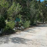 Review photo of Baker Creek Campground — Great Basin National Park by Chantal  S., July 22, 2021