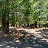 Review photo of Pogie Point Campground by Ali K., July 22, 2021