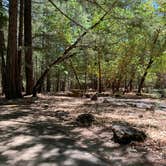 Review photo of Pogie Point Campground by Ali K., July 22, 2021