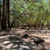 Review photo of Pogie Point Campground by Ali K., July 22, 2021