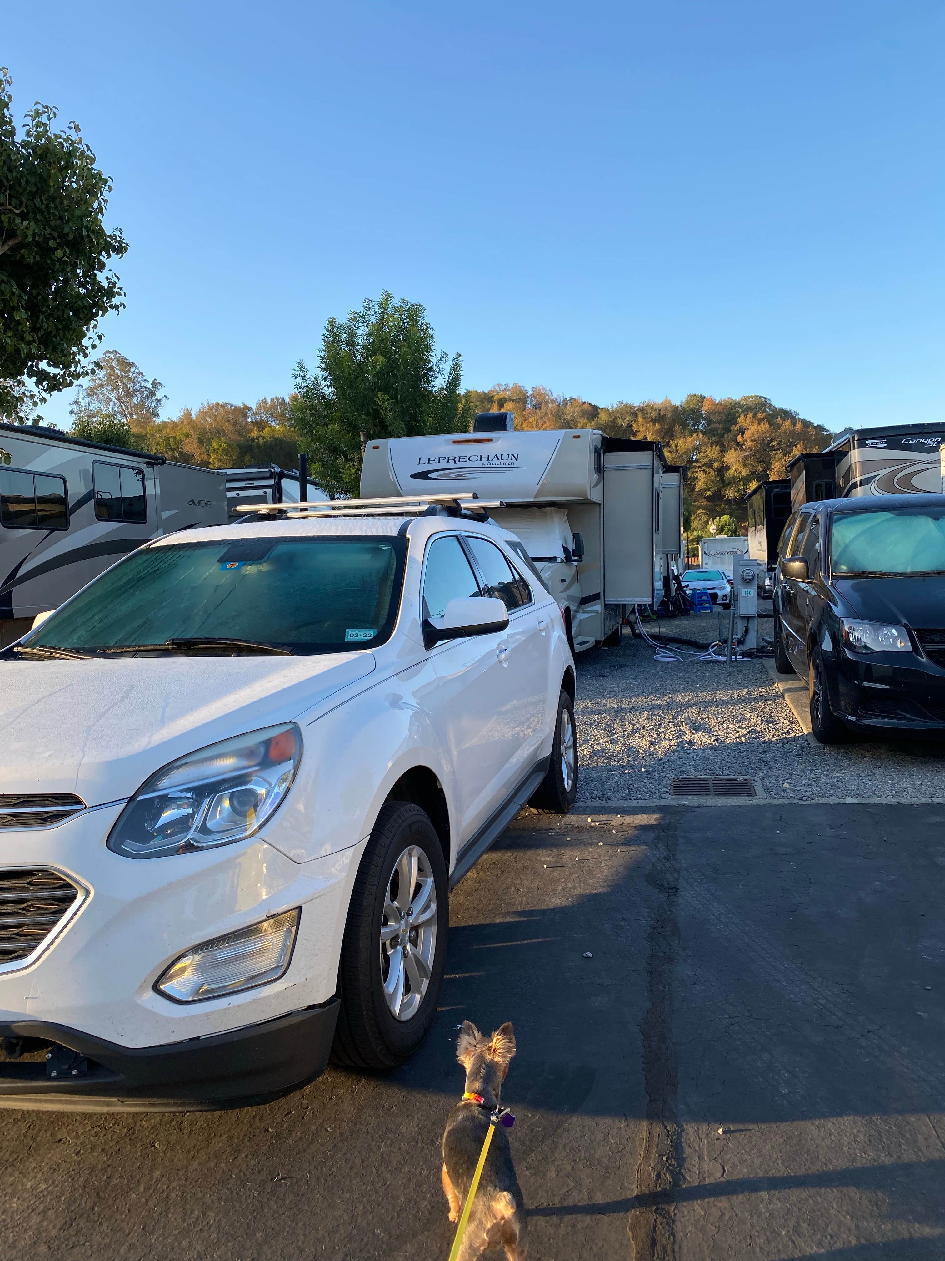 Camper submitted image from Novato RV Park - 1