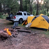 Review photo of Cocino National Forest - Rd. 535 by Michael A., July 22, 2021