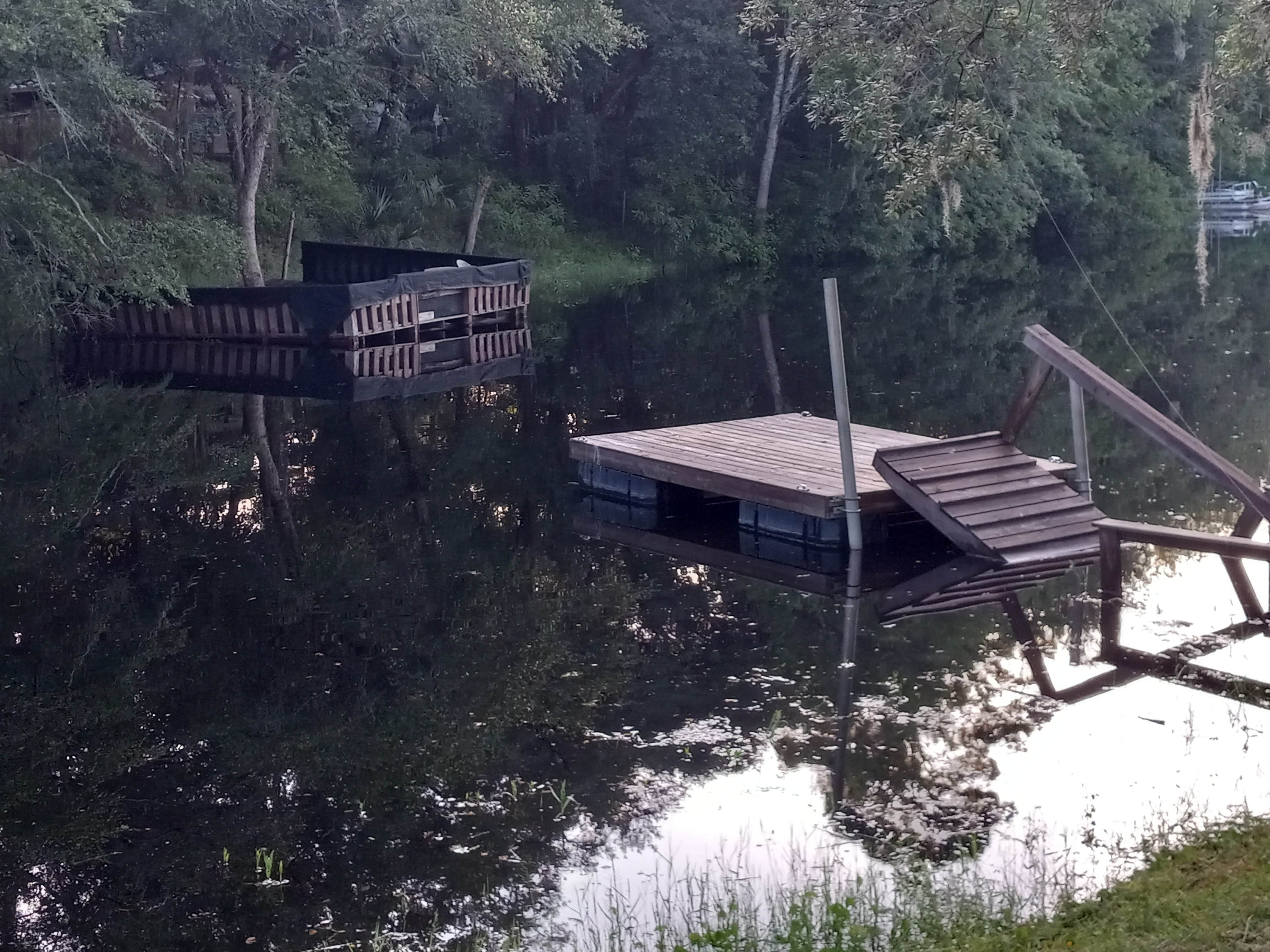 Camper submitted image from Suwannee River Bend RV Park - 3