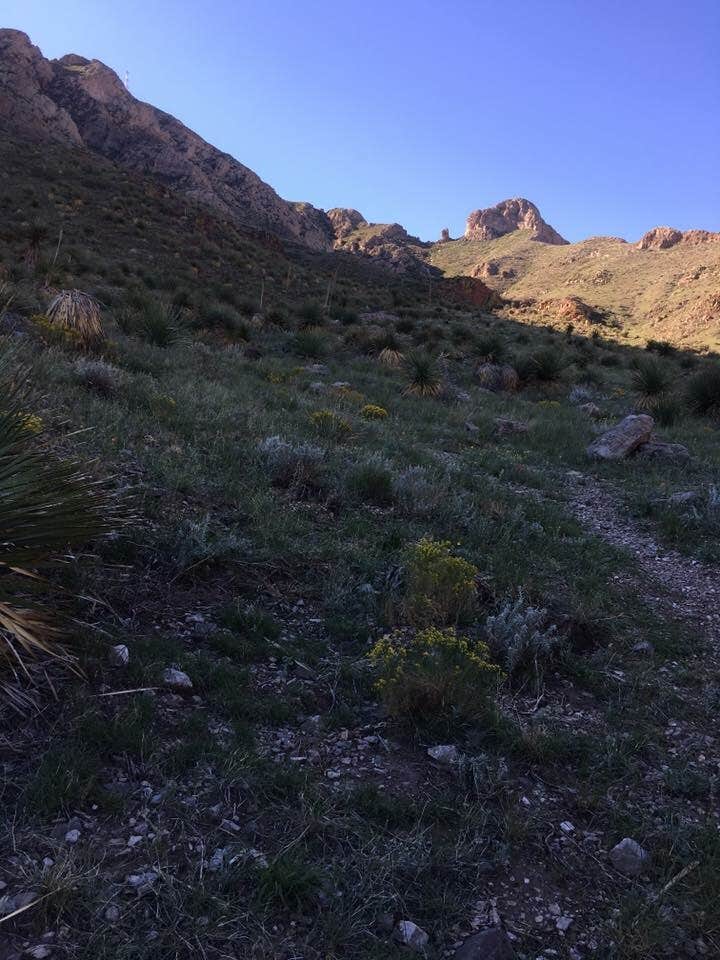 Camper submitted image from Franklin Mountains State Park Campground - 2