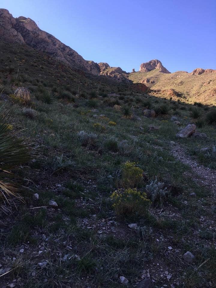 Nature