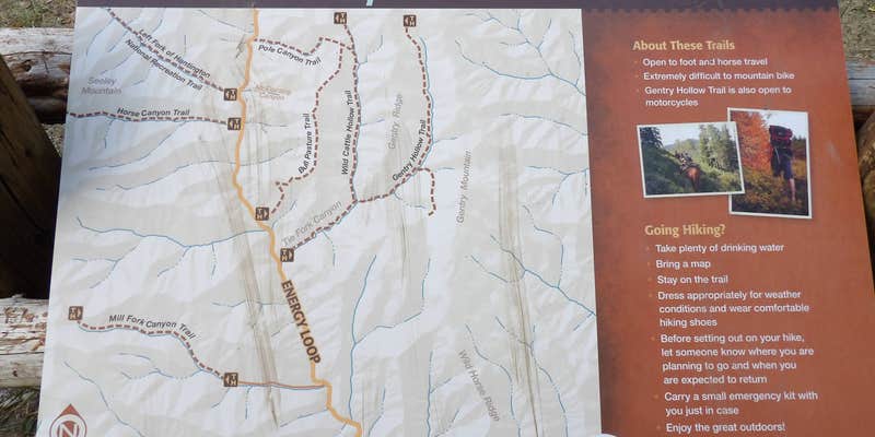 Camper submitted image from Bear Creek