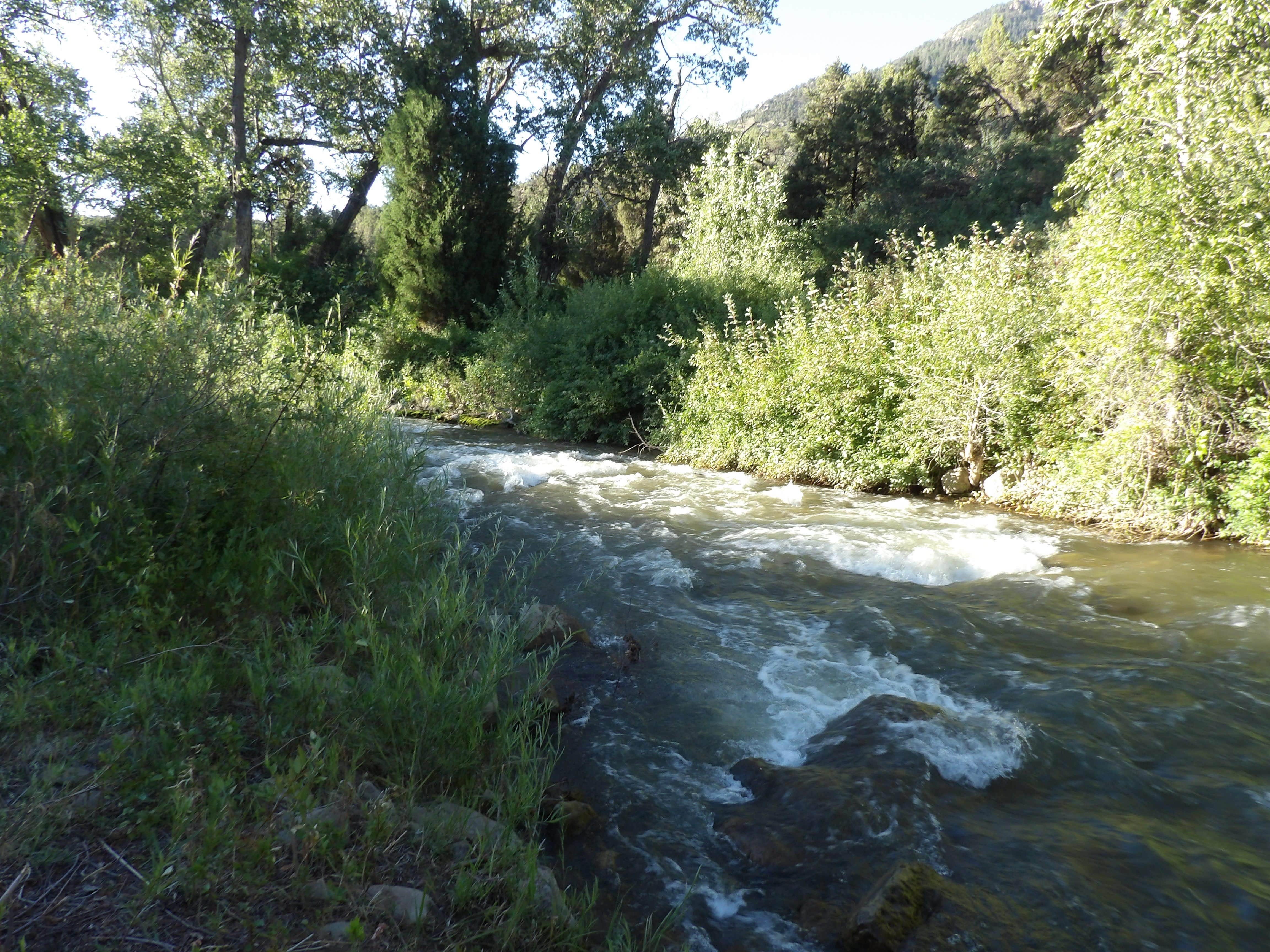 Camper-submitted photo at Bear Creek near Kenilworth, UT